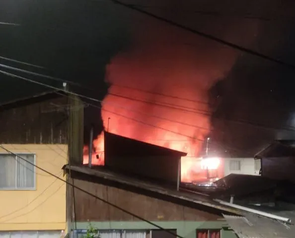 arauco