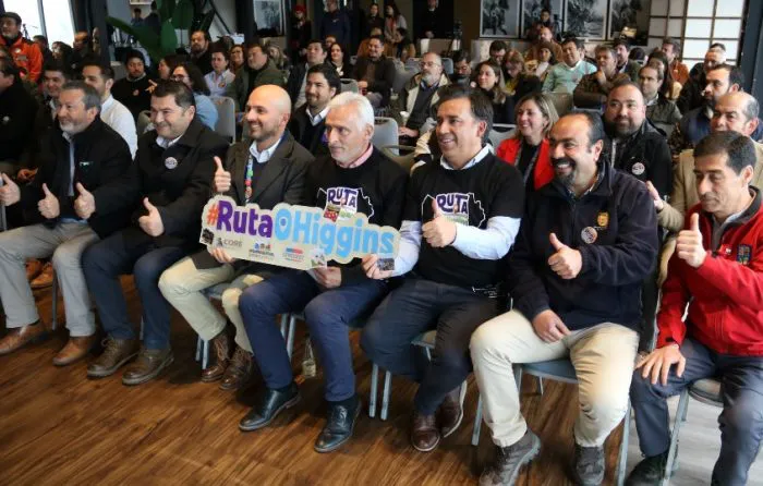 ruta ohiggins